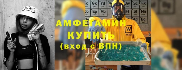 сатива Новодвинск