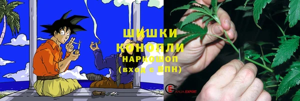 сатива Новодвинск