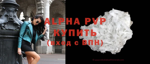 сатива Новодвинск