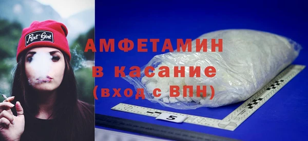сатива Новодвинск