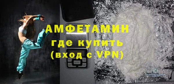 сатива Новодвинск